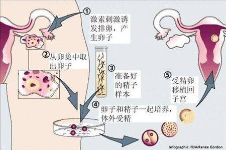 周主任