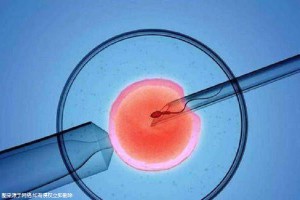 墨序生殖医学中心